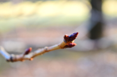 まだまだ小さい。