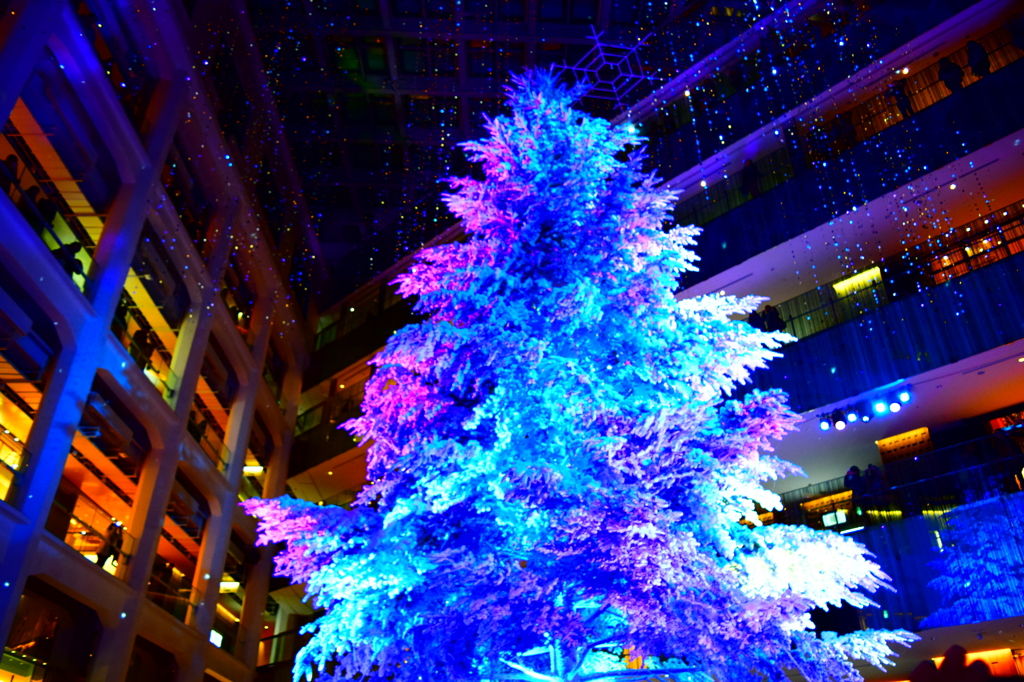 DSC_0351