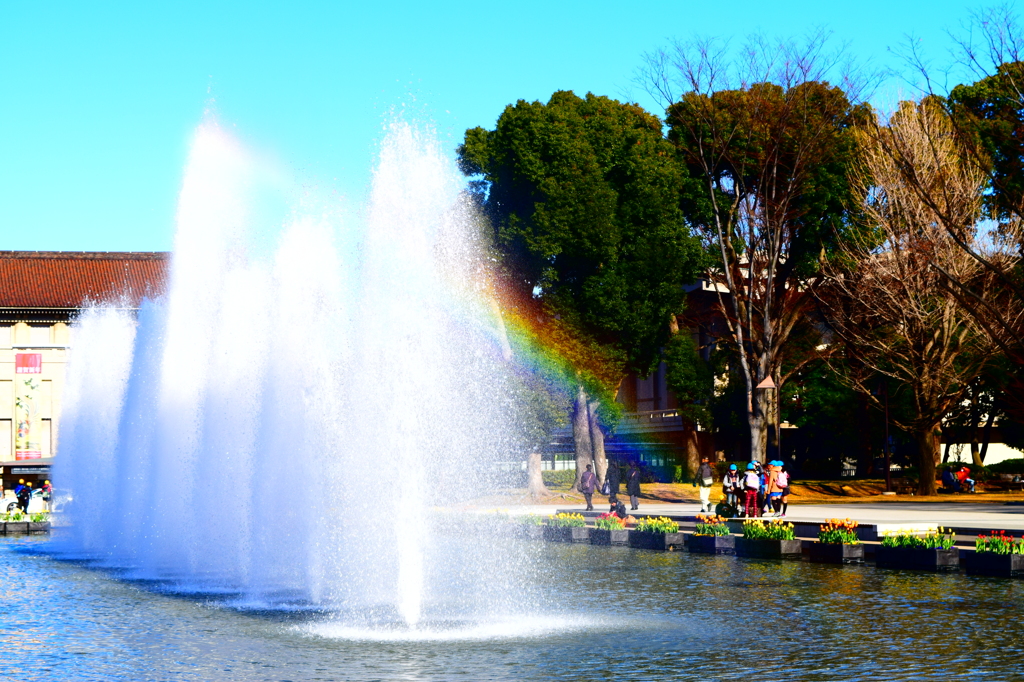 晴天の日に現れた虹