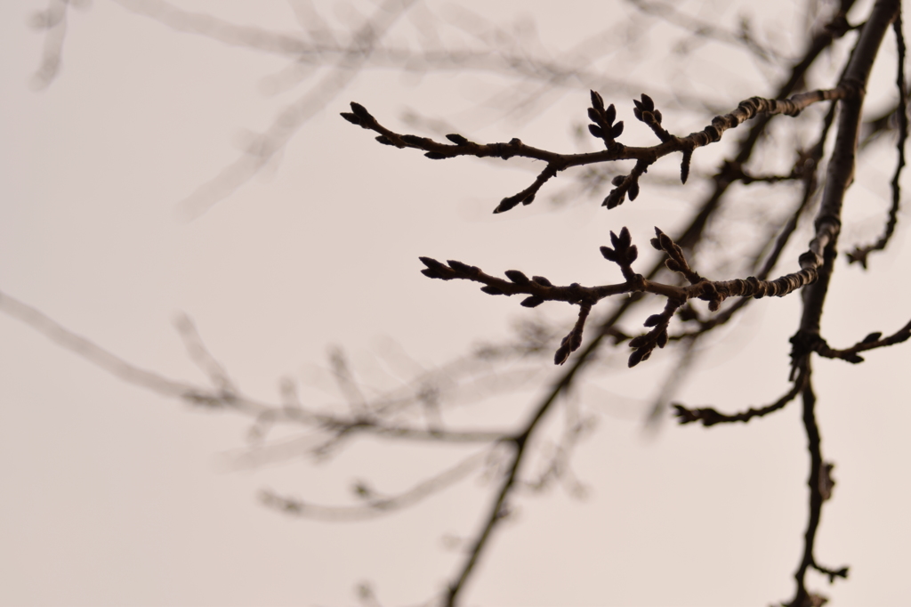 もう少し、もう少し。