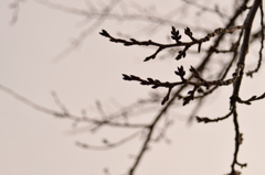 もう少し、もう少し。