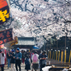 上野・桜