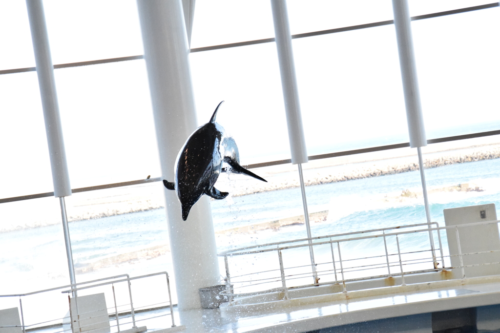 fly high。