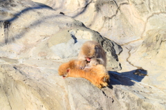 お客さん、こってますねぇ。