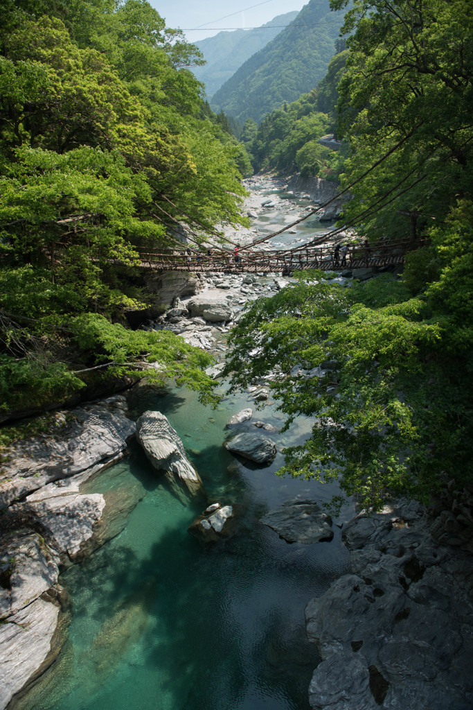 祖谷のかずら橋２