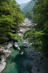 祖谷のかずら橋２