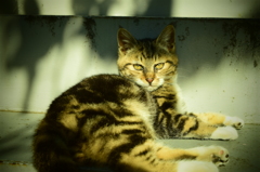 今日もおはよう