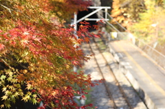 電車待てなかった