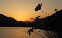 夕ぐれ