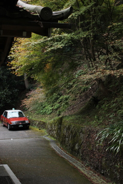 車