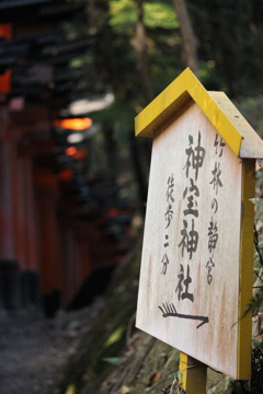 入口