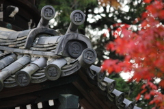 瓦