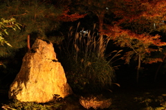 岩