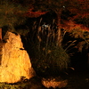 岩