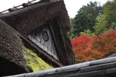 屋根