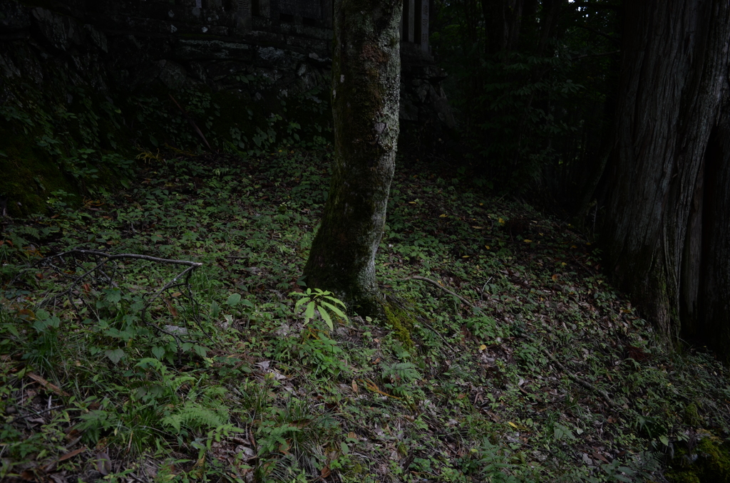 神域　三峰神社