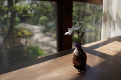 窓辺の春