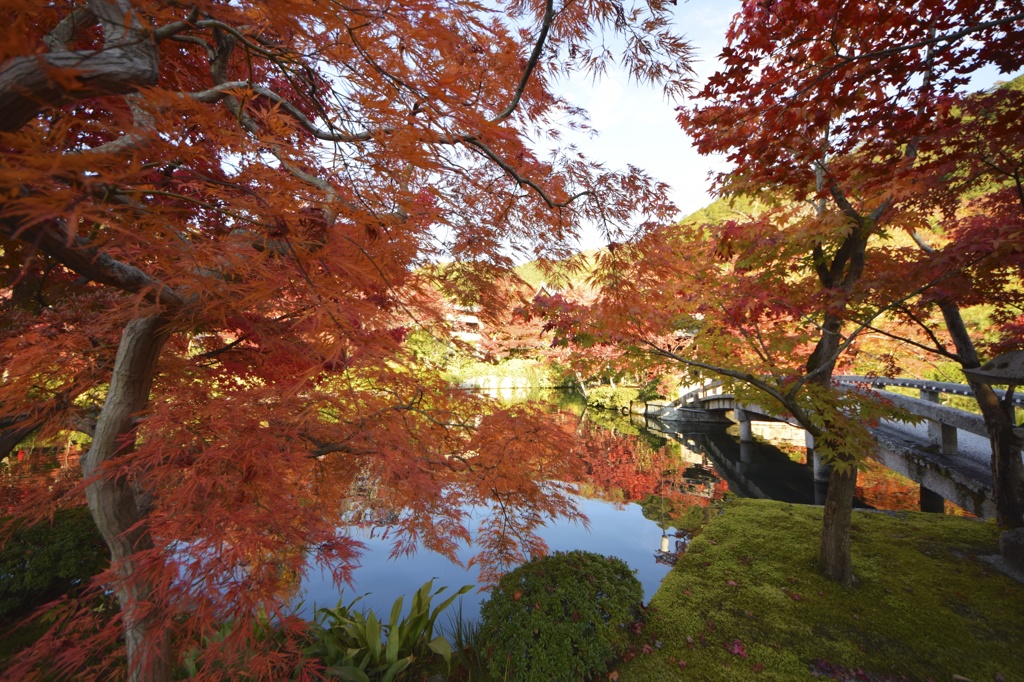 京都