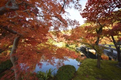 京都