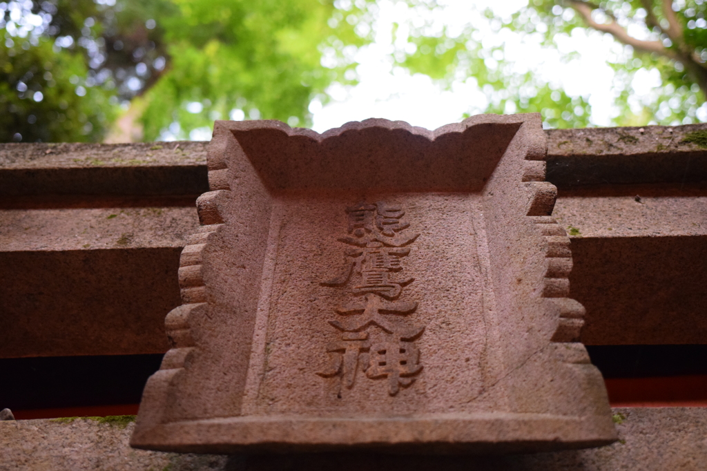 伏見稲荷２