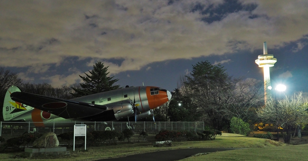 所沢航空記念公園(極寒)