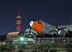 所沢航空記念公園(極寒)