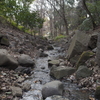 芝公園