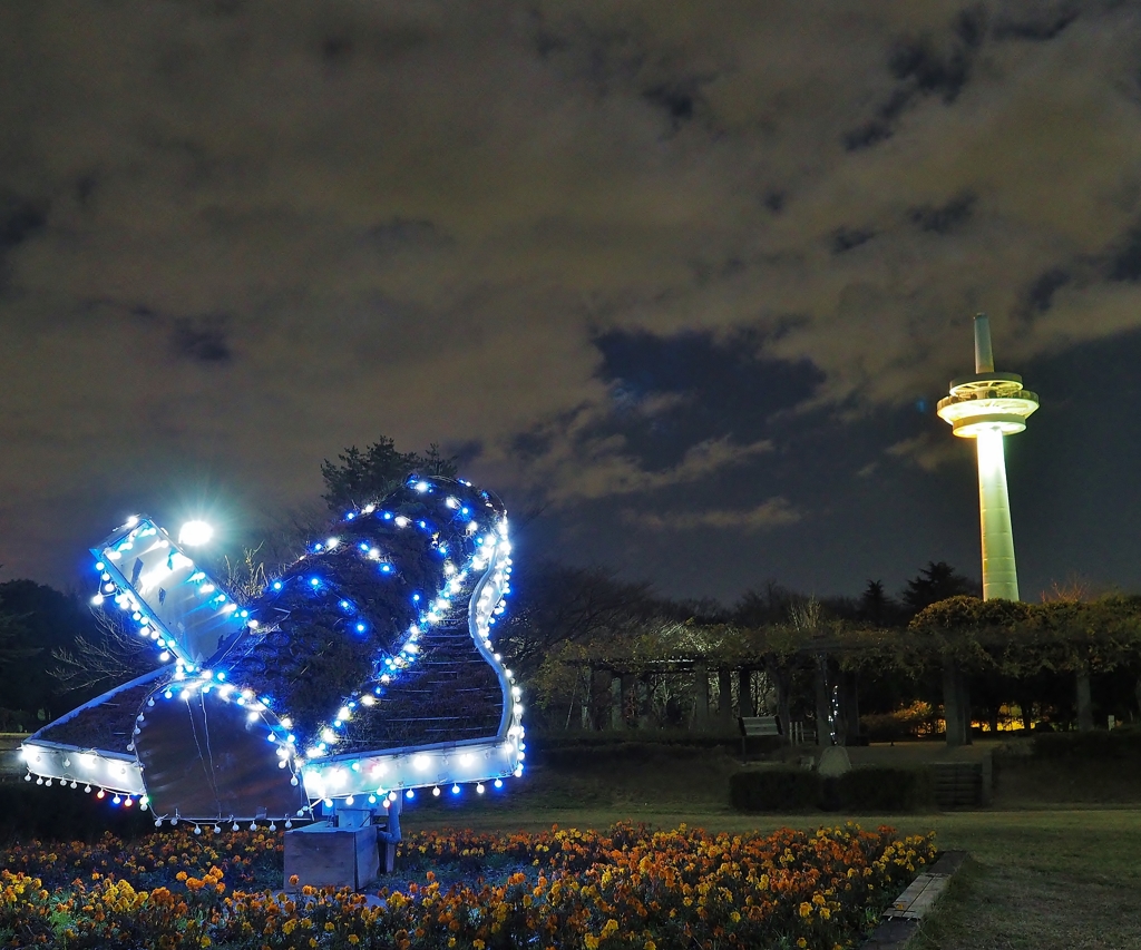 所沢航空記念公園(極寒)