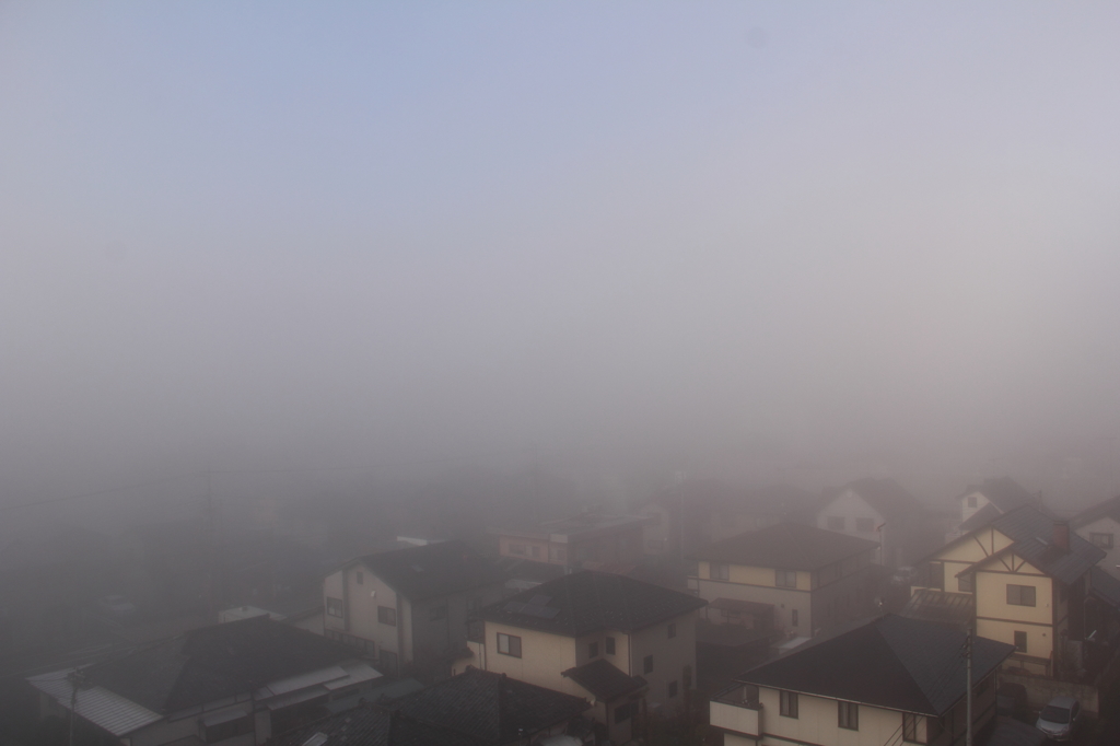 霧に包まれて