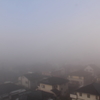 霧に包まれて