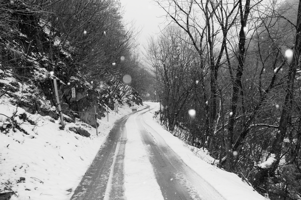 雪道