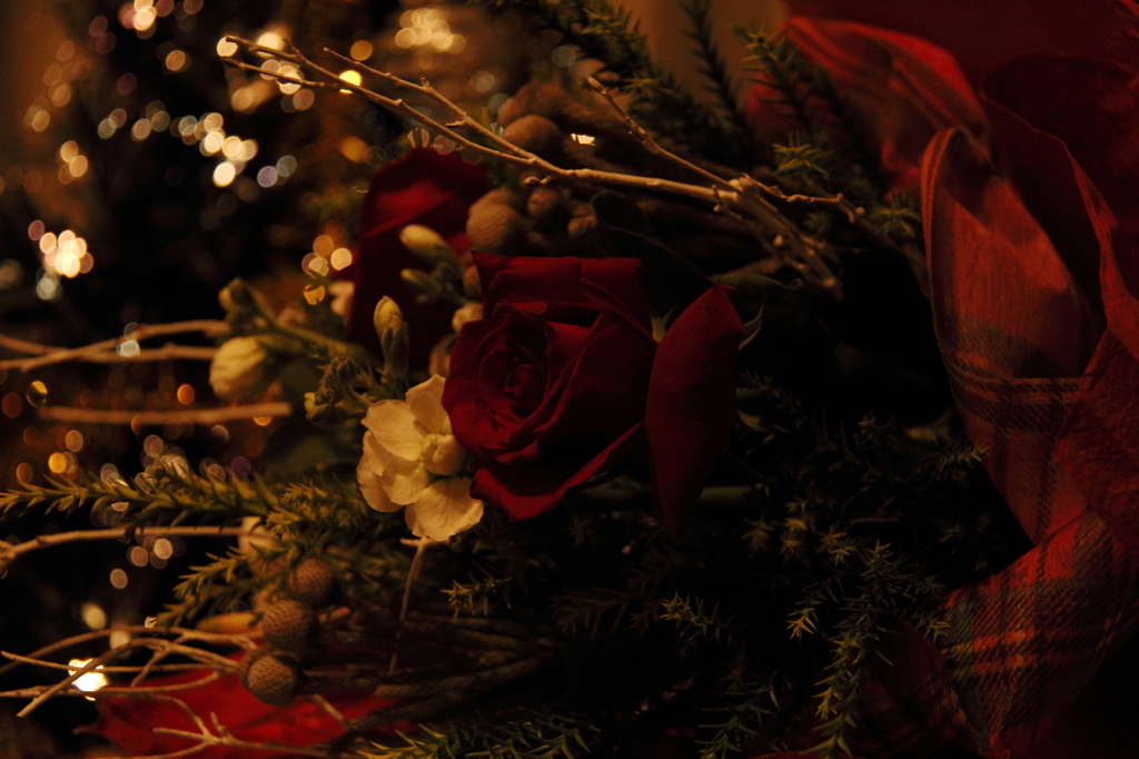 To　you ...