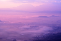 紫景