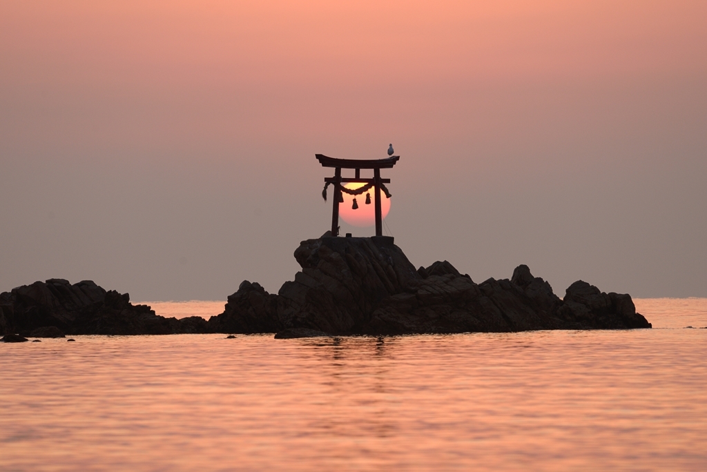 惹かれる鳥居