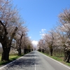 九州では見れない景色