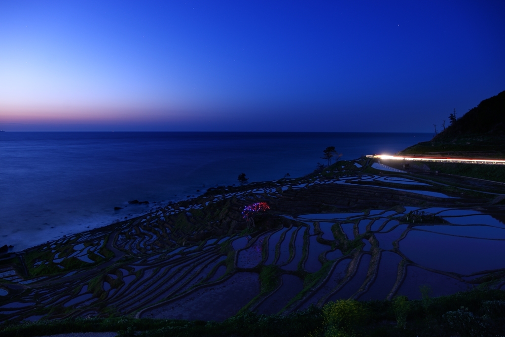 夕暮れの千枚田