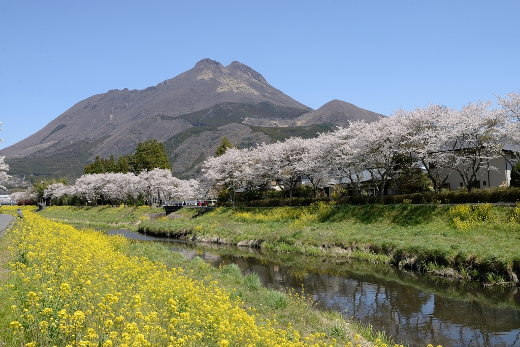 湯の町の春