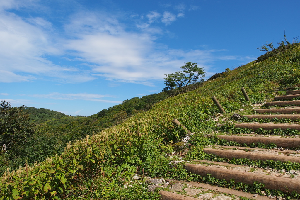 伊吹山