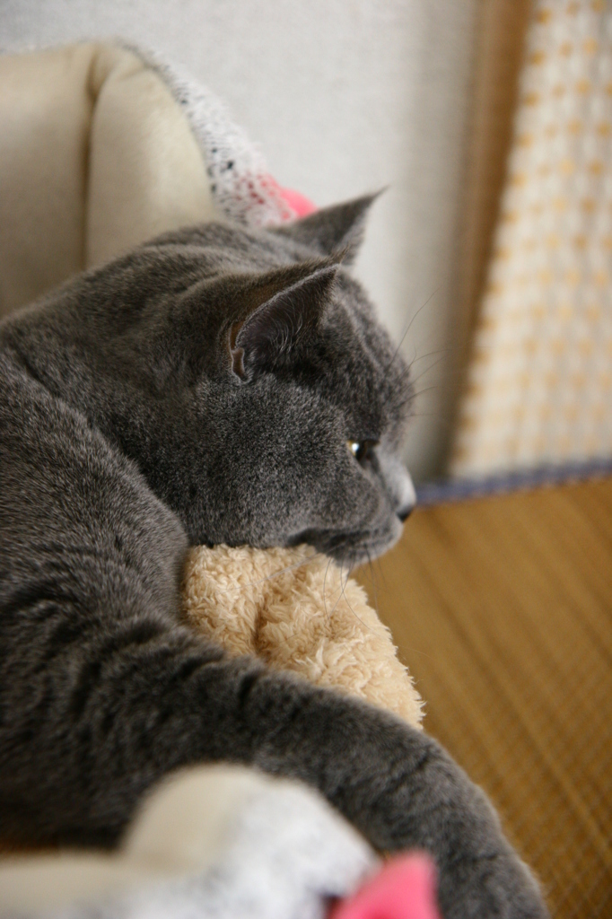 ねむいにゃ～