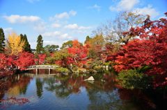 京都・永観堂