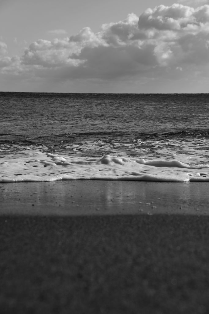海