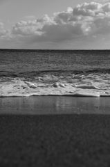 海