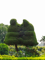 トピアリー（クマ？）