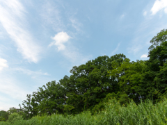 束の間の青空