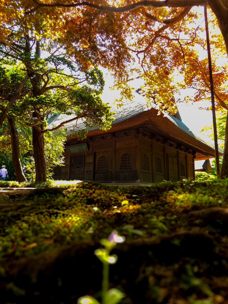 野火止 平林寺
