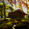 野火止 平林寺