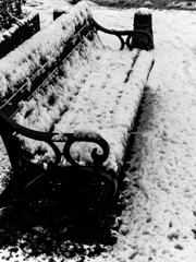 東京の雪・・・