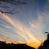 夕日散歩