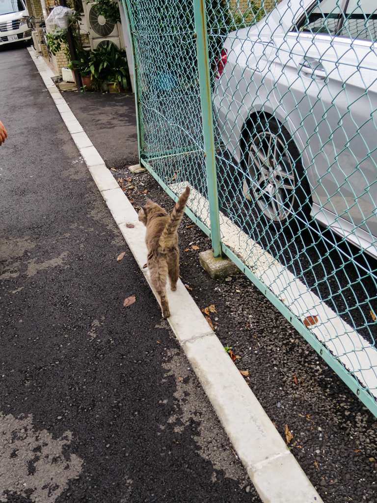 そして去る・・・