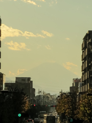 霞む富士山